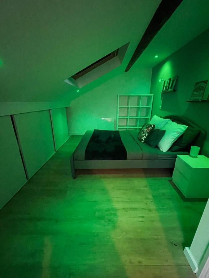 Grace Cosy Apartman Villers-lès-Nancy Kültér fotó